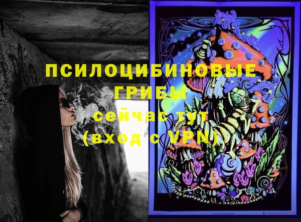 скорость Саяногорск